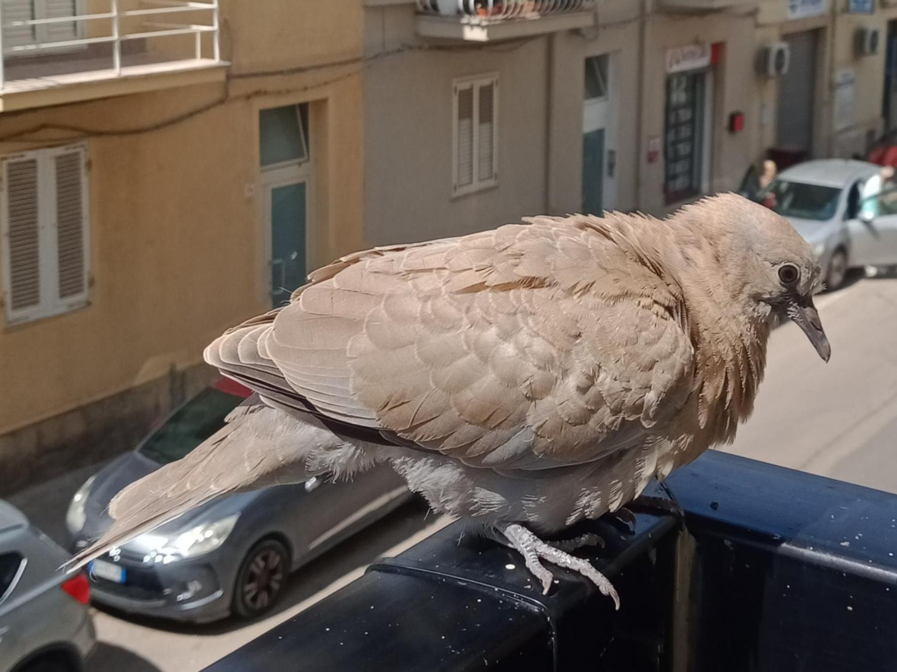 Apartmán Quedar-Se A L'Alguer Exteriér fotografie