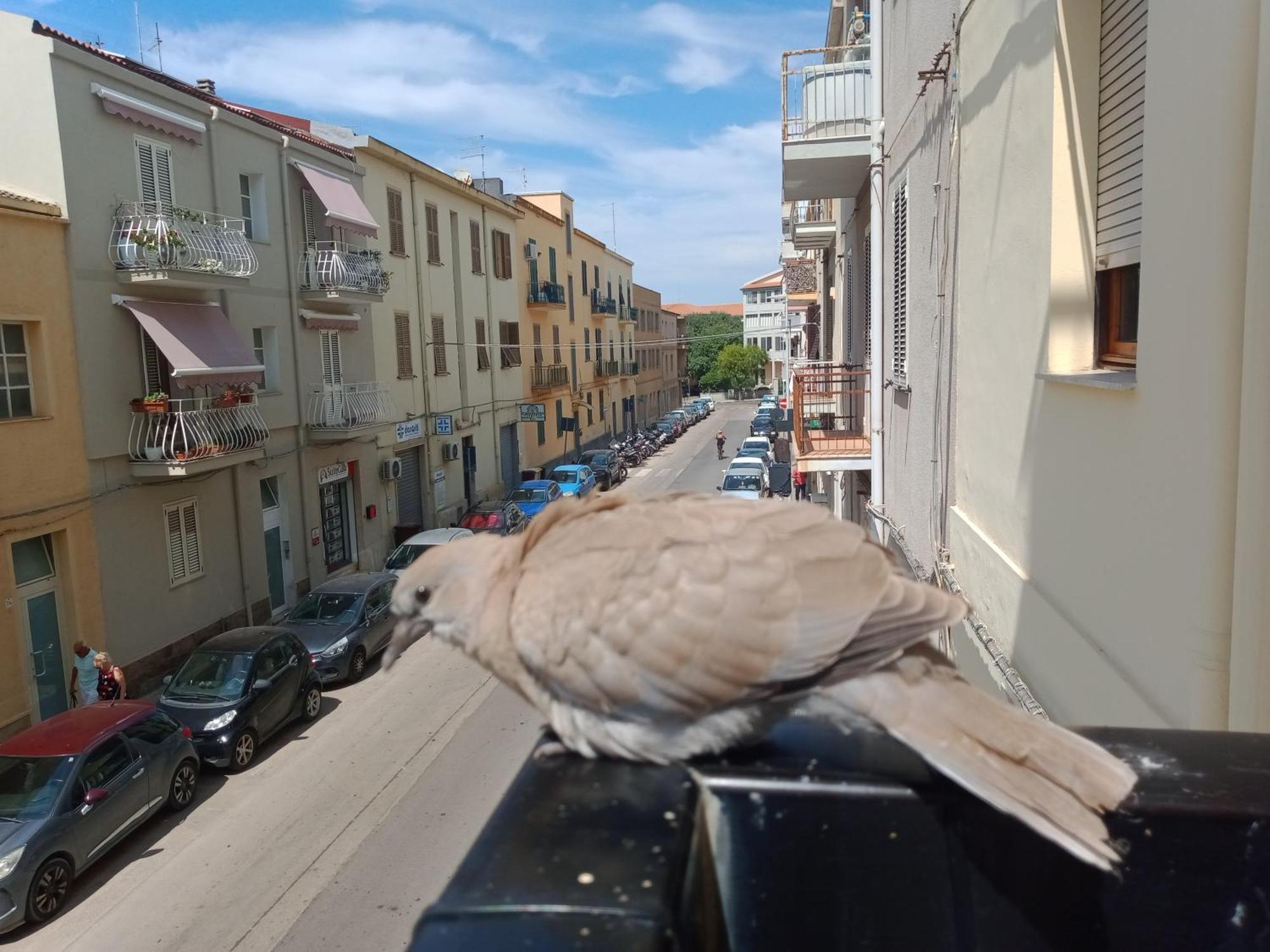 Apartmán Quedar-Se A L'Alguer Exteriér fotografie