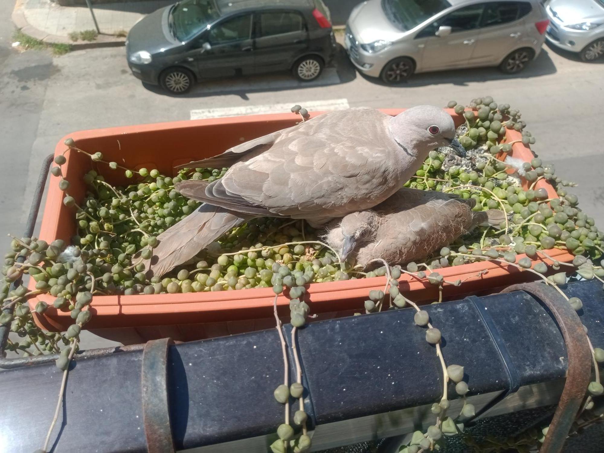 Apartmán Quedar-Se A L'Alguer Exteriér fotografie